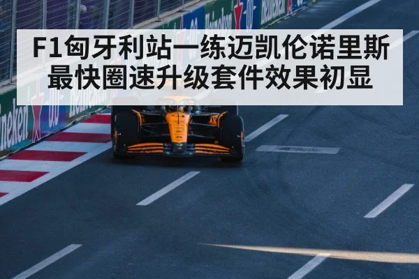 McLaren F1 car upgrade