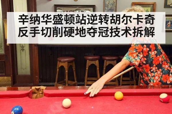 辛纳华盛顿站逆转胡尔卡奇反手切削硬地夺冠技术拆解